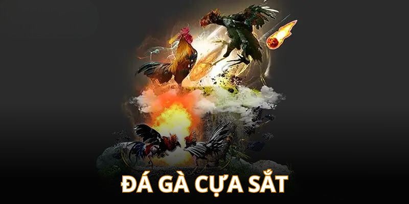 đá gà online cwin thể loại 